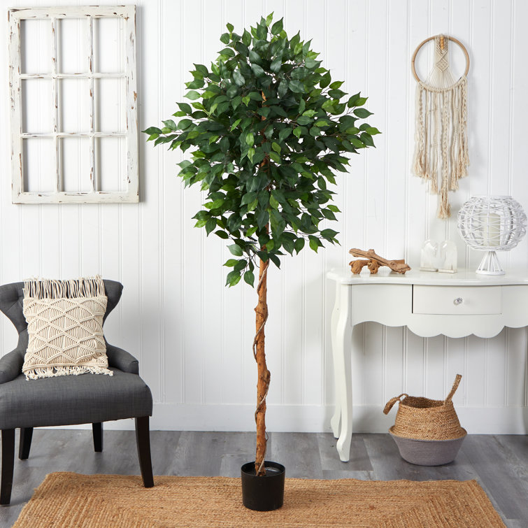 Laurel Foundry Modern Farmhouse 6Ft. Ficus Artificial Tree & Reviews